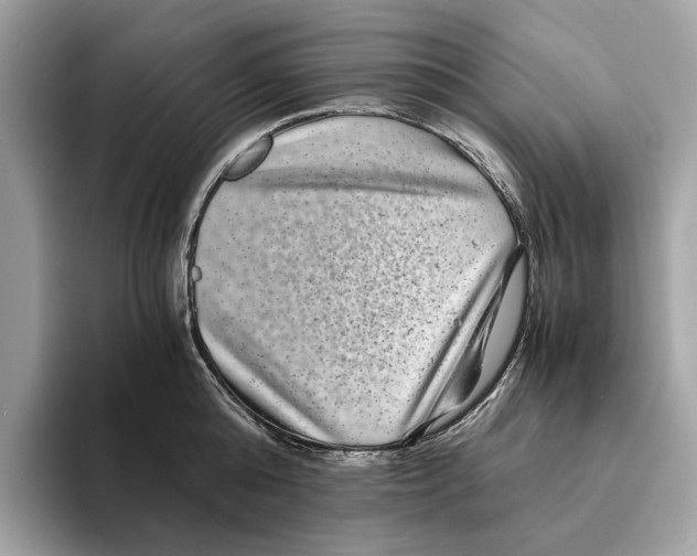 X0000095540808200801111432