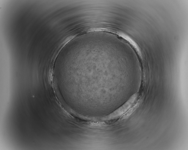 X0000095540809200801111432