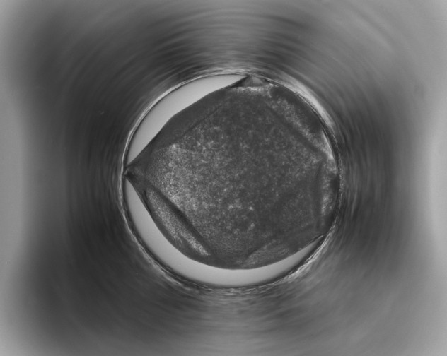 X0000095540810200801111432