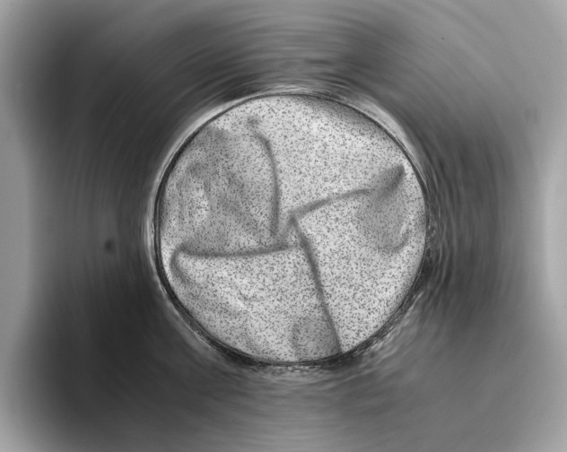 X0000095540811200801111432