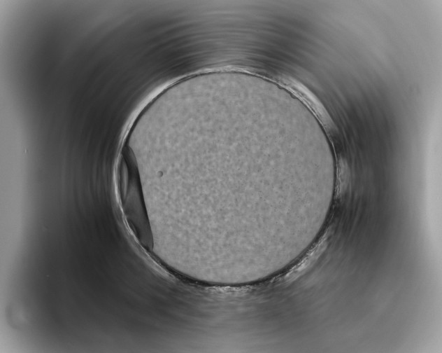 X0000095540812200801111432