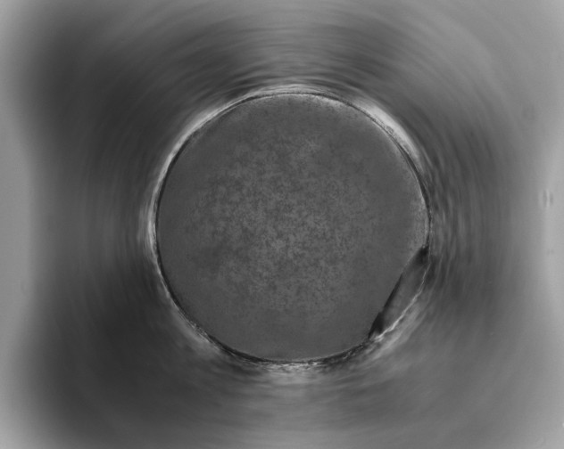 X0000095540813200801111432