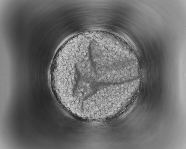 X0000095540814200801111432