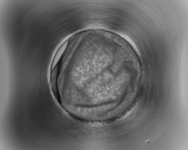 X0000095540815200801111432