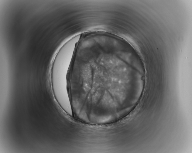 X0000095540816200801111432