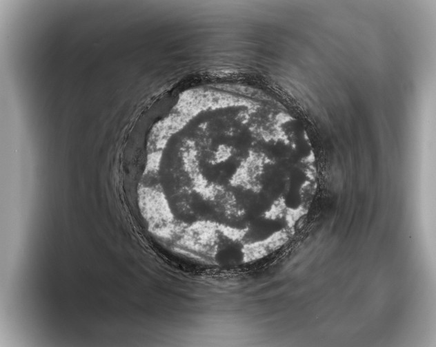 X0000095540817200801111431