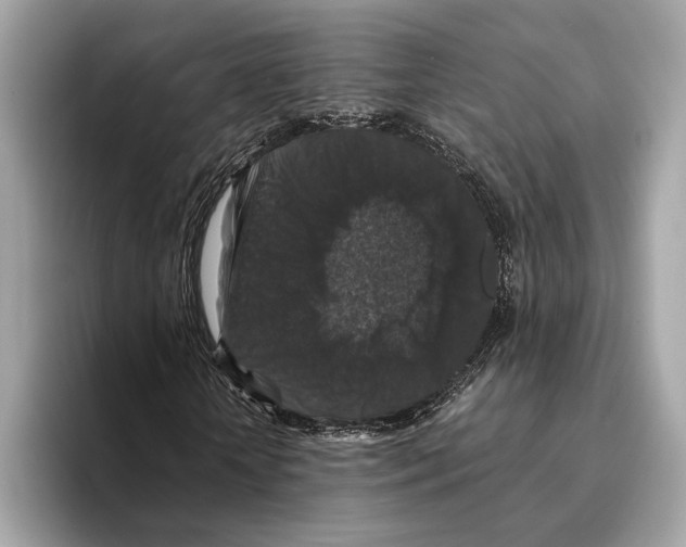 X0000095540818200801111431