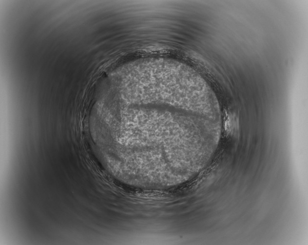 X0000095540819200801111431