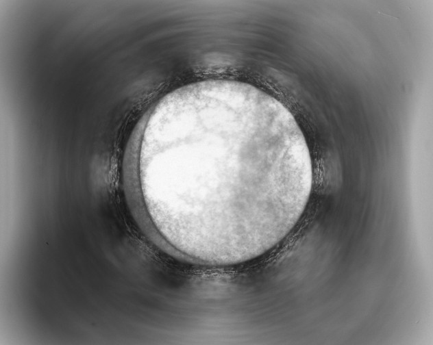 X0000095540820200801111431