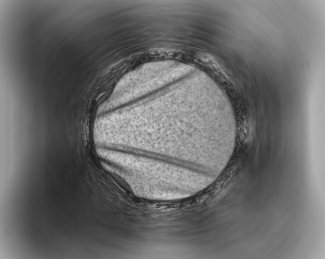 X0000095540821200801111431