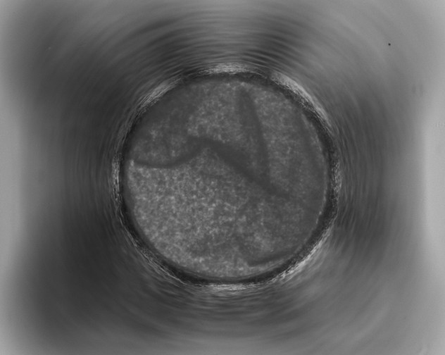 X0000095540825200801111431