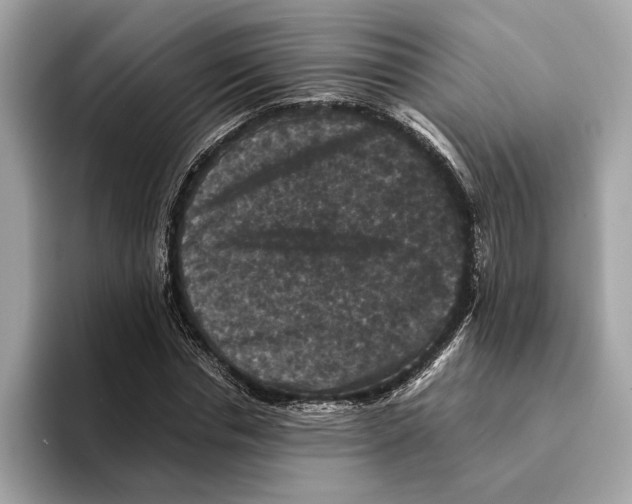 X0000095540826200801111431