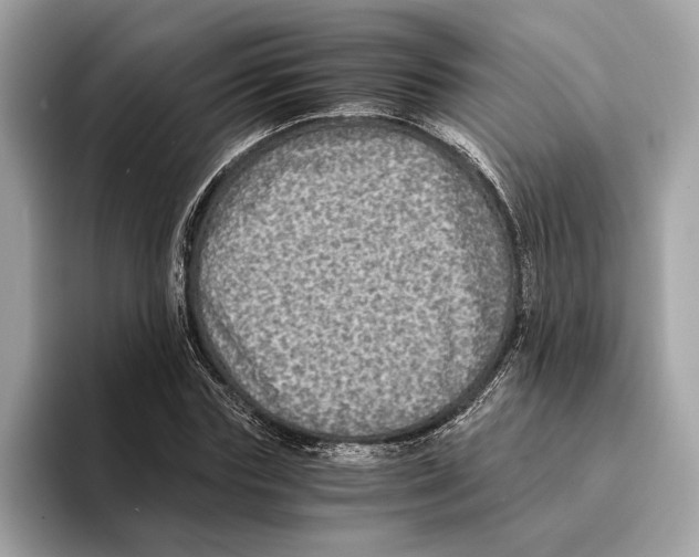 X0000095540827200801111431