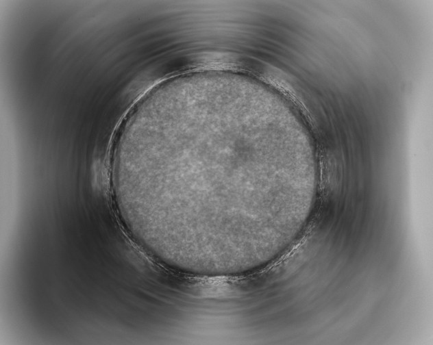 X0000095540828200801111431