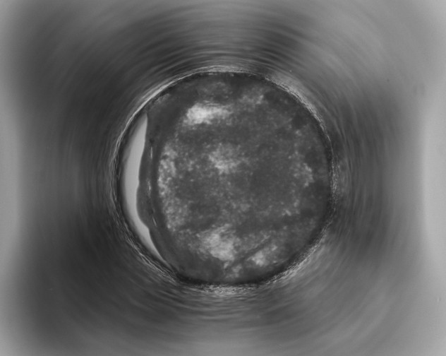 X0000095540829200801111431