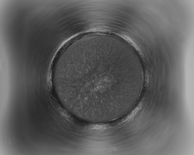 X0000095540830200801111431