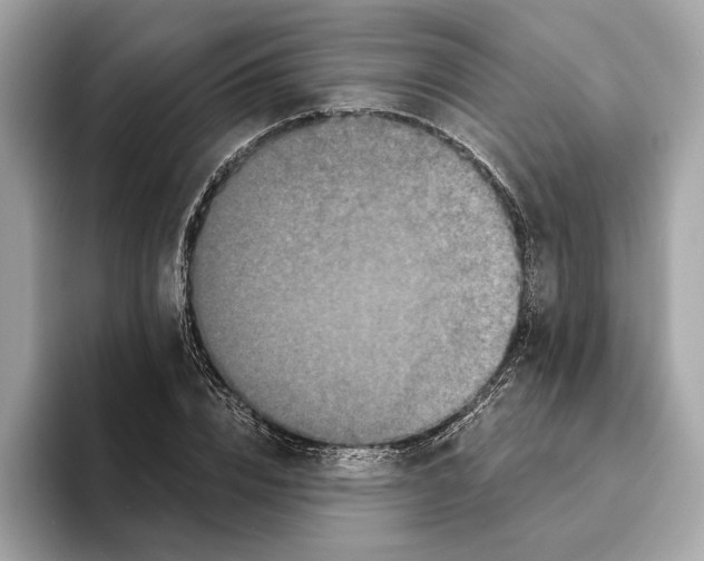 X0000095540832200801111431