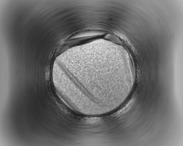 X0000095540833200801111431