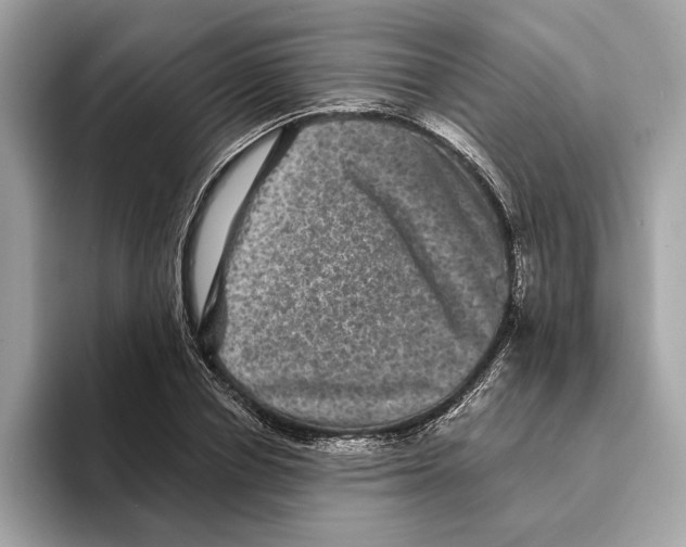 X0000095540834200801111431