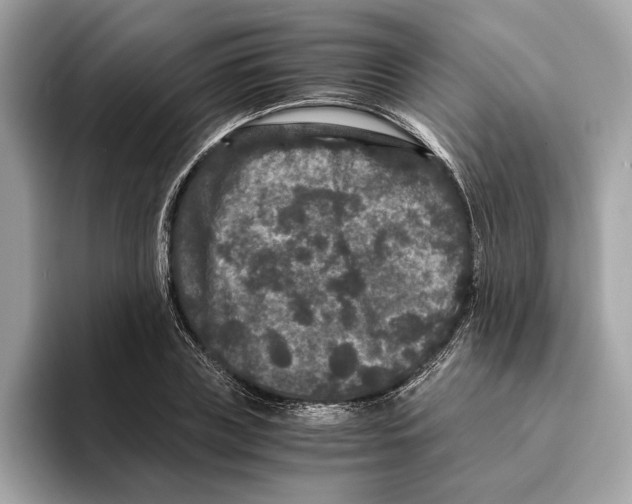 X0000095540835200801111431