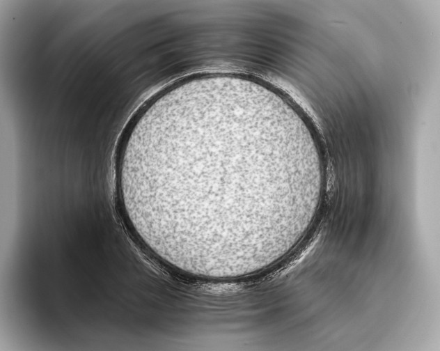 X0000095540837200801111431