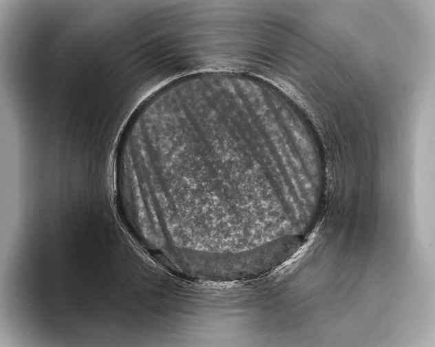 X0000095540838200801111431