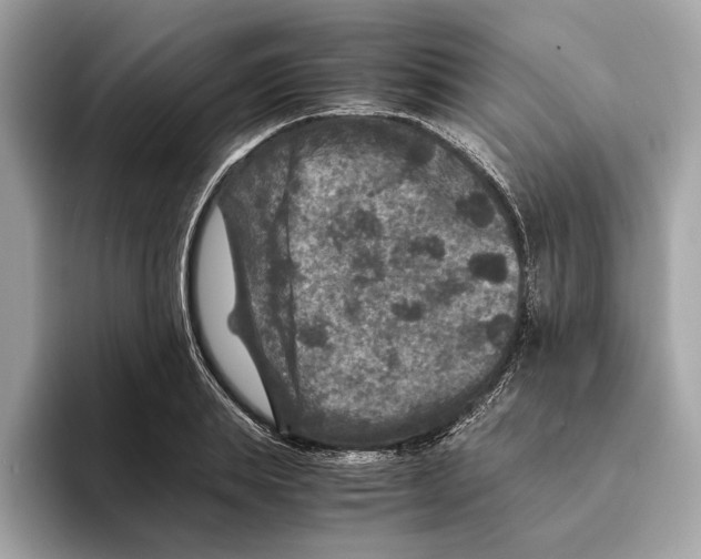 X0000095540839200801111431