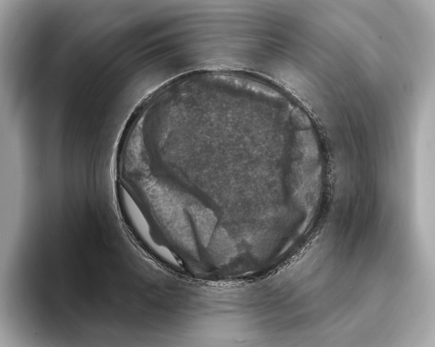 X0000095540840200801111431