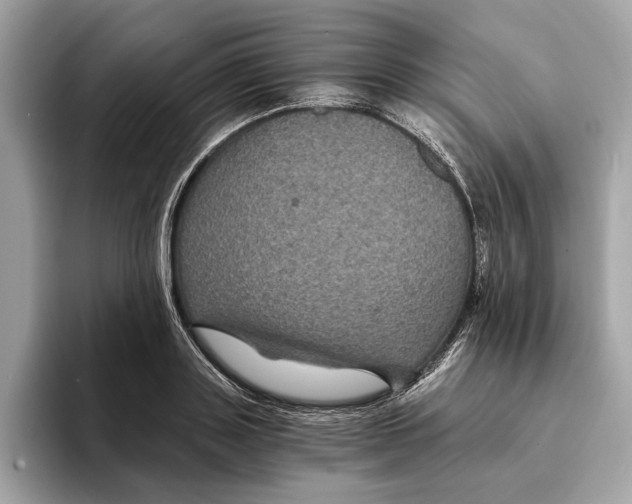 X0000095540843200801111431