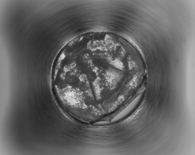 X0000095540845200801111431