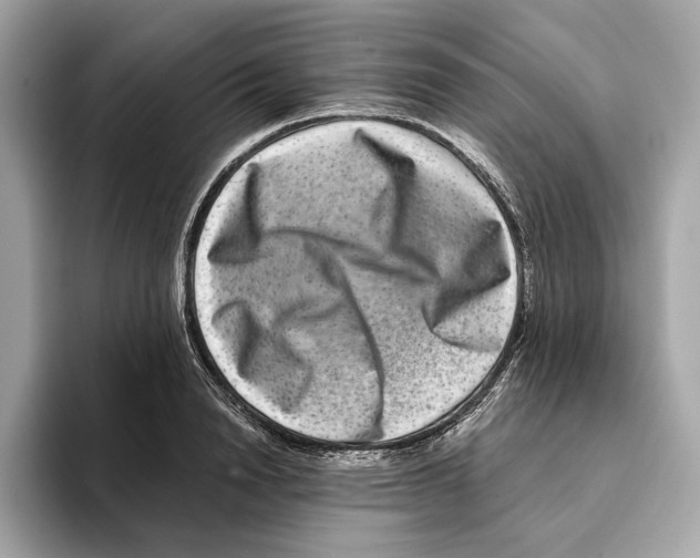 X0000095540846200801111431