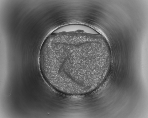 X0000095540847200801111432