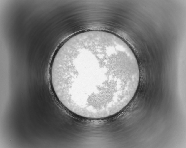 X0000095540848200801111432