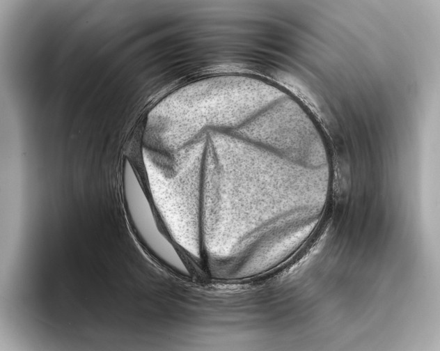 X0000095540849200801111432