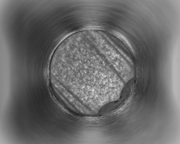 X0000095540852200801111432