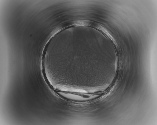 X0000095540853200801111432