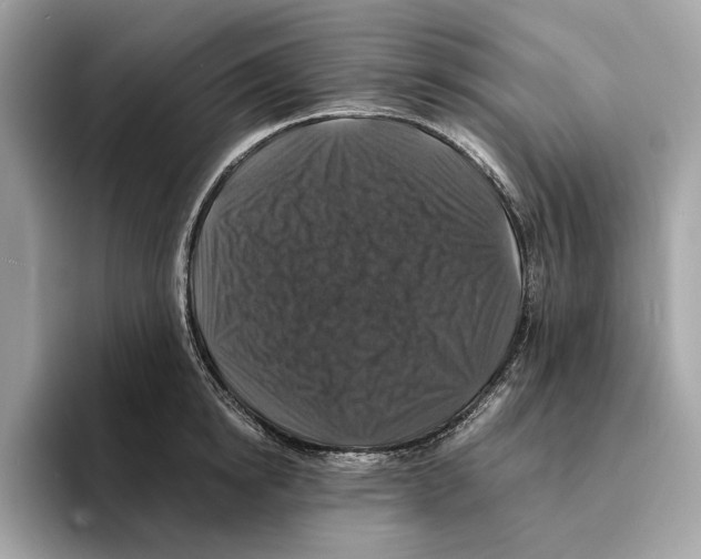 X0000095540854200801111432