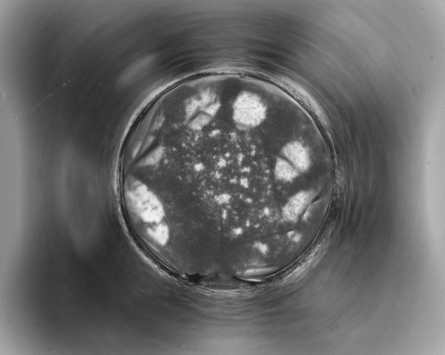 X0000095540855200801111432