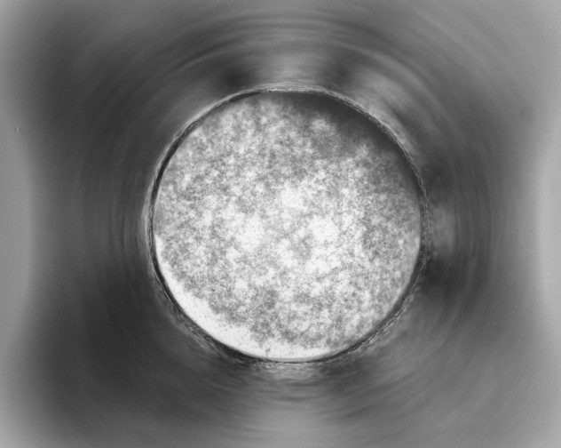 X0000095540856200801111432