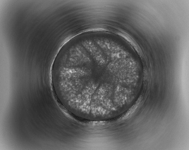 X0000095540858200801111432