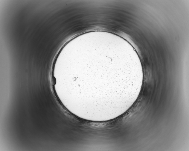 X0000095540861200801111432