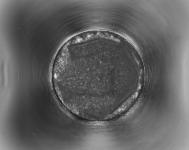 X0000095540862200801111432