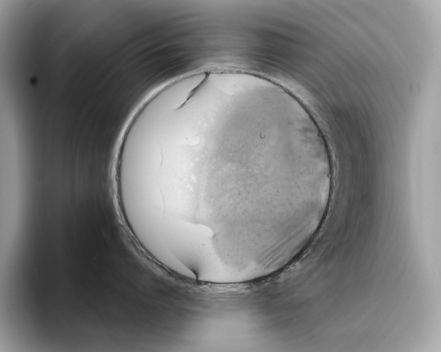 X0000095540864200801111432