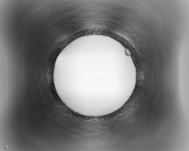 X0000095540869200801111431