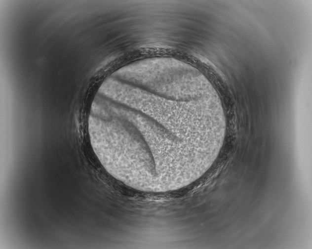 X0000095540870200801111431