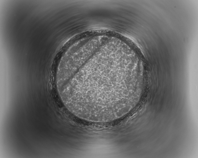 X0000095540871200801111431