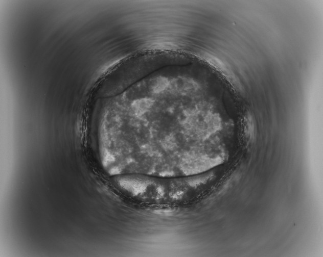 X0000095540872200801111431