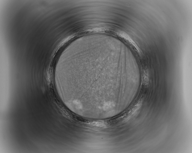 X0000095540874200801111431