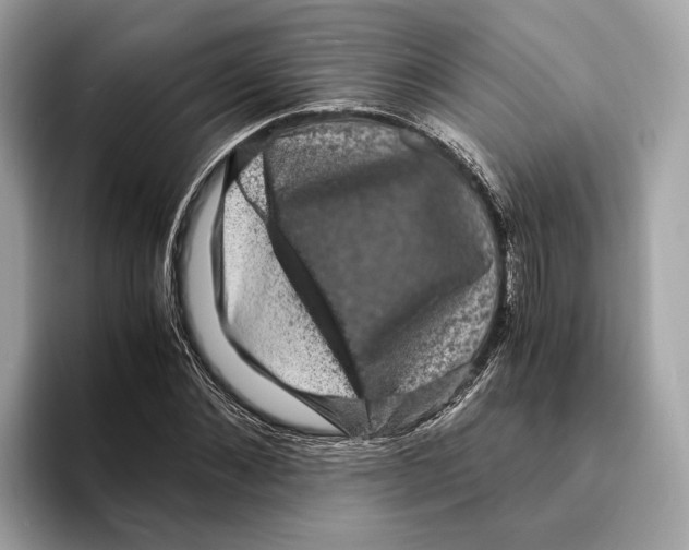 X0000095540876200801111431