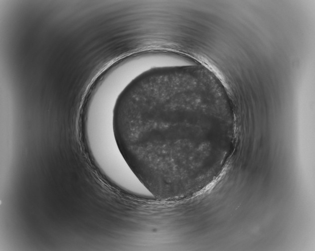 X0000095540877200801111431